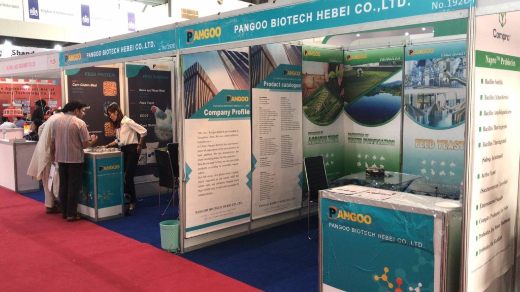 Supplier Album Image