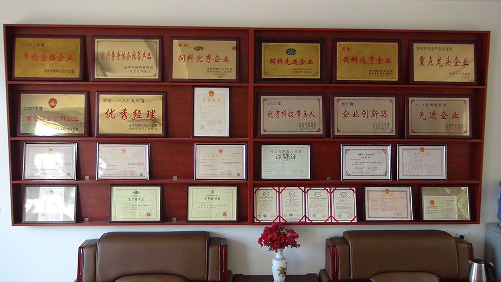 Supplier Album Image