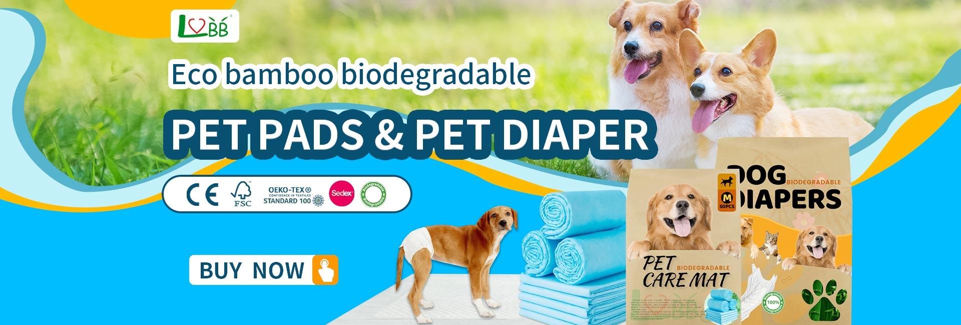 Xiamen kingda Industry Co., Ltd