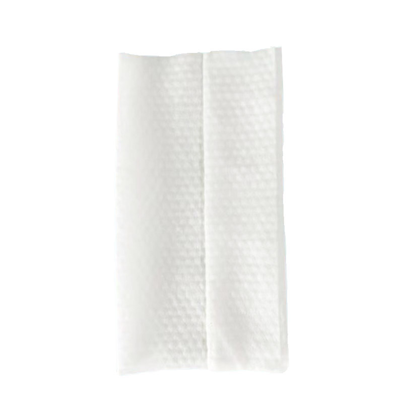 Wet wipes/Facial Tissue