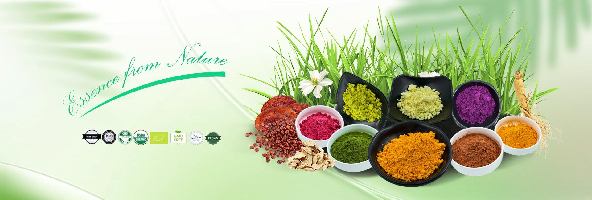 Essence Biotech Co., Ltd