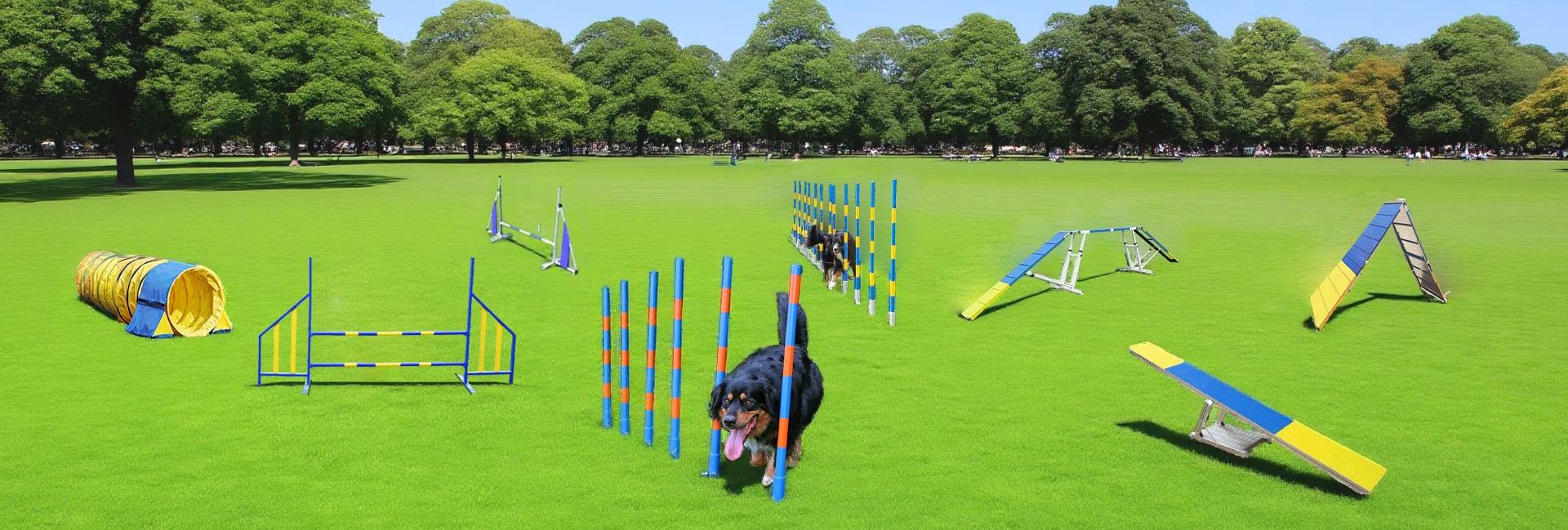 G & W World Trading Co., Ltd.