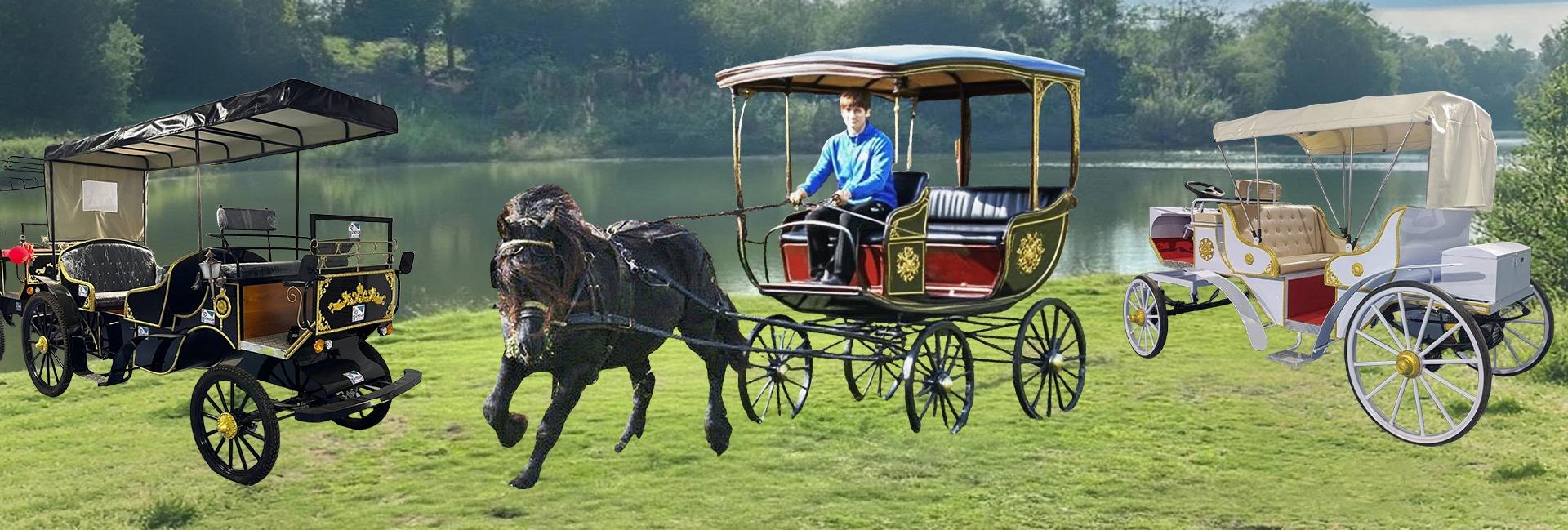 G & W World Trading Co., Ltd.