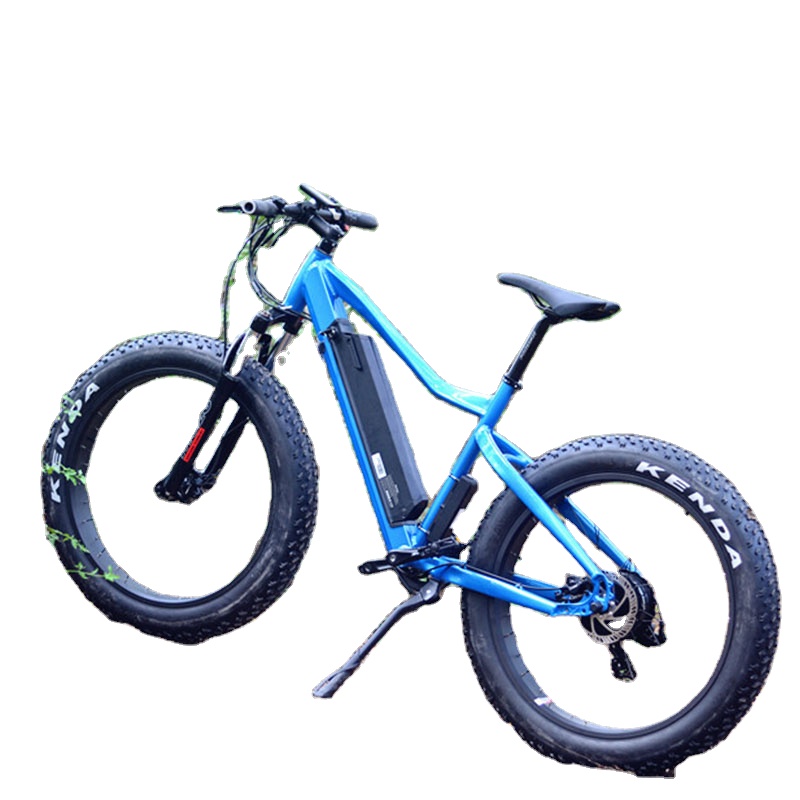 other ebike