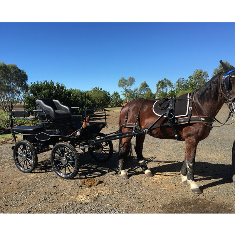 Marathon Carriage model