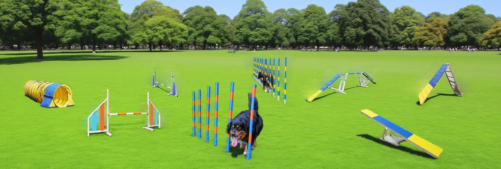 G&W World Trading Co., Ltd.