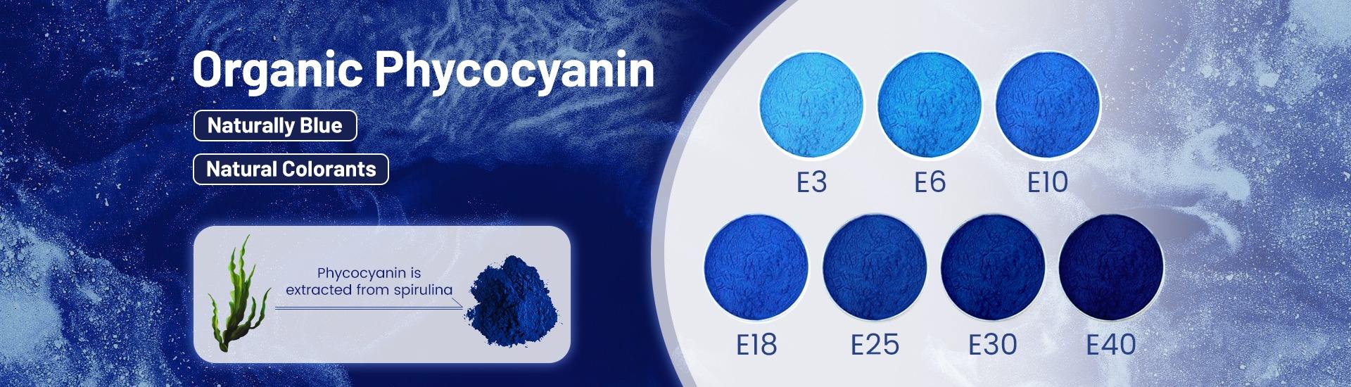 Bio(xi'an) Technology Co., Ltd.