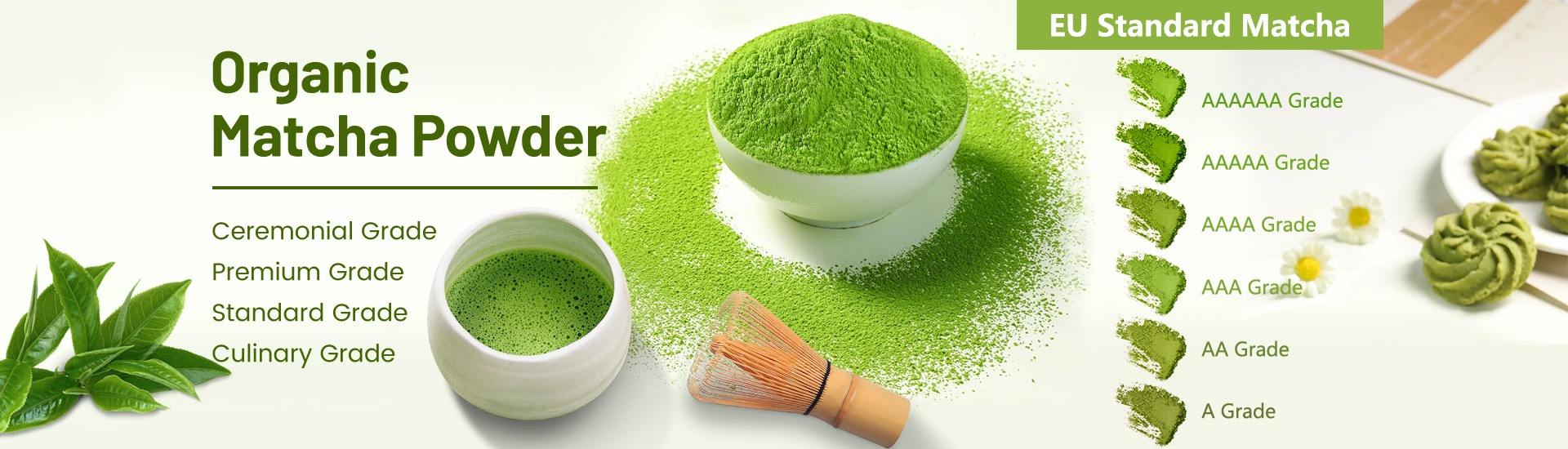 Bio(xi'an) Technology Co., Ltd.