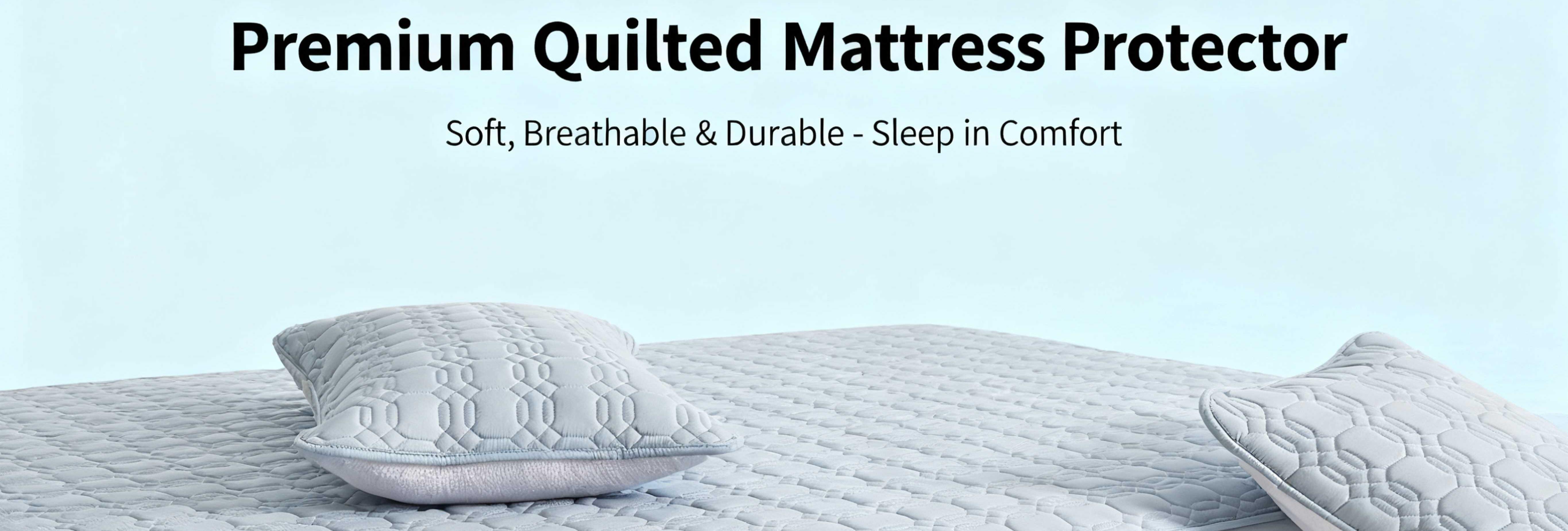 Sunny Baby Trading Co., Ltd.