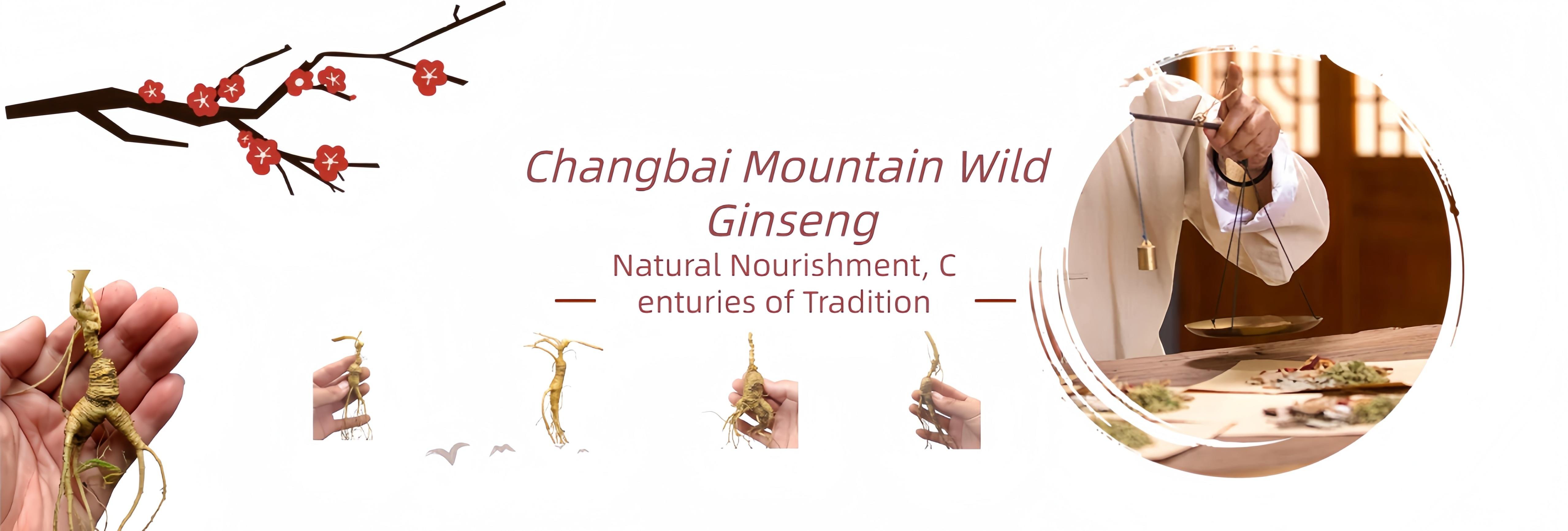 Northern Treasures Export Co., Ltd.