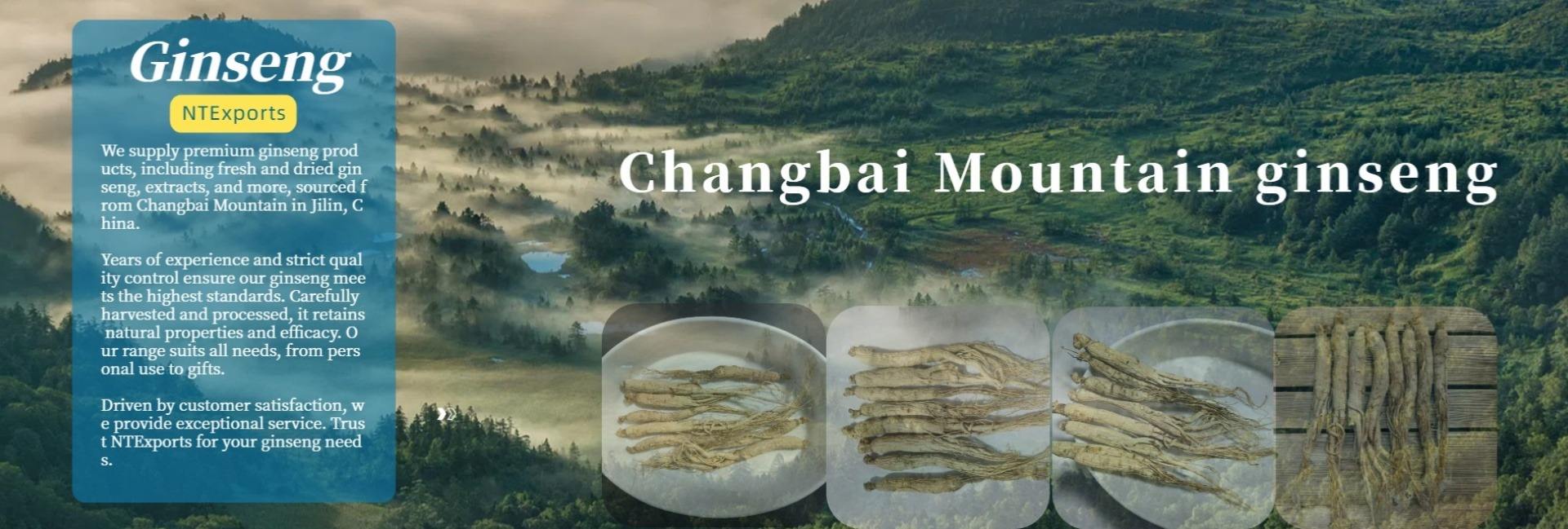 Northern Treasures Export Co., Ltd.