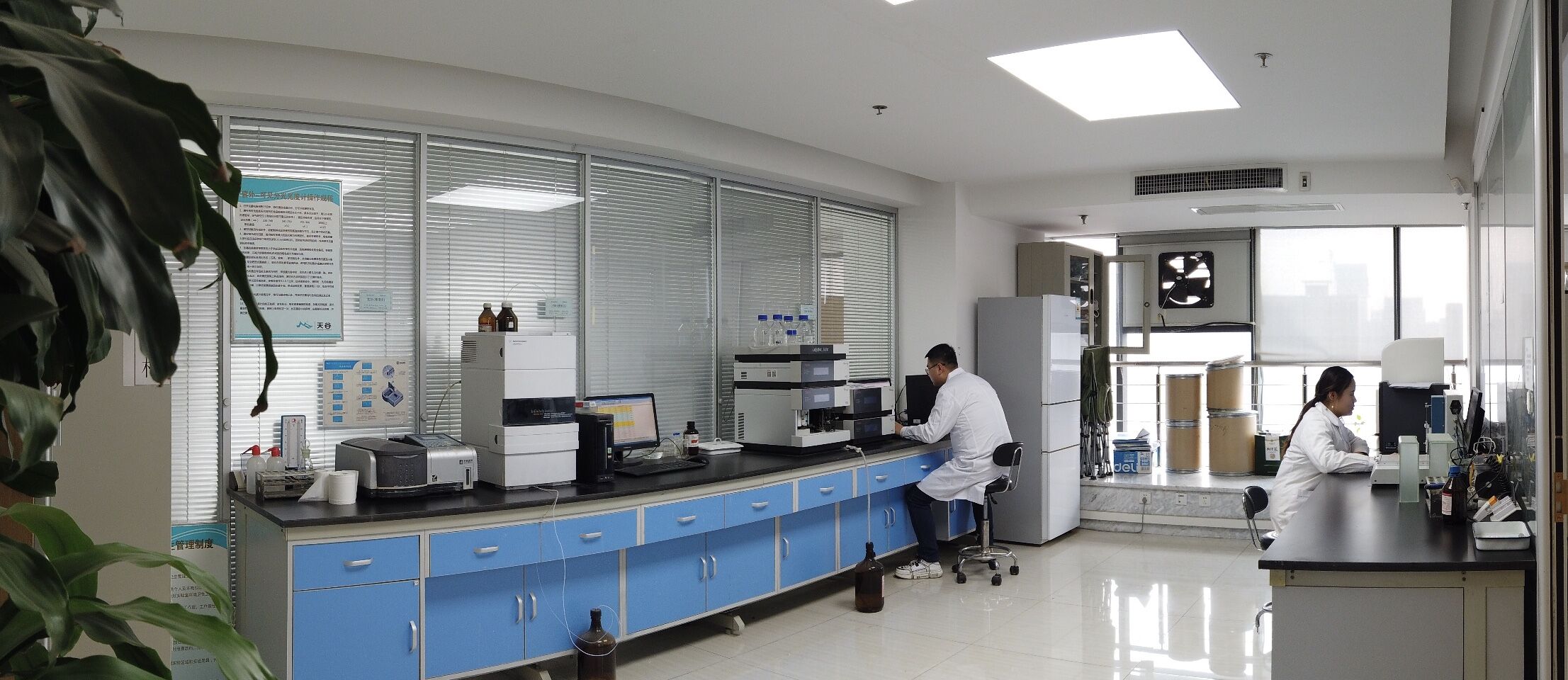 Supplier Album Image