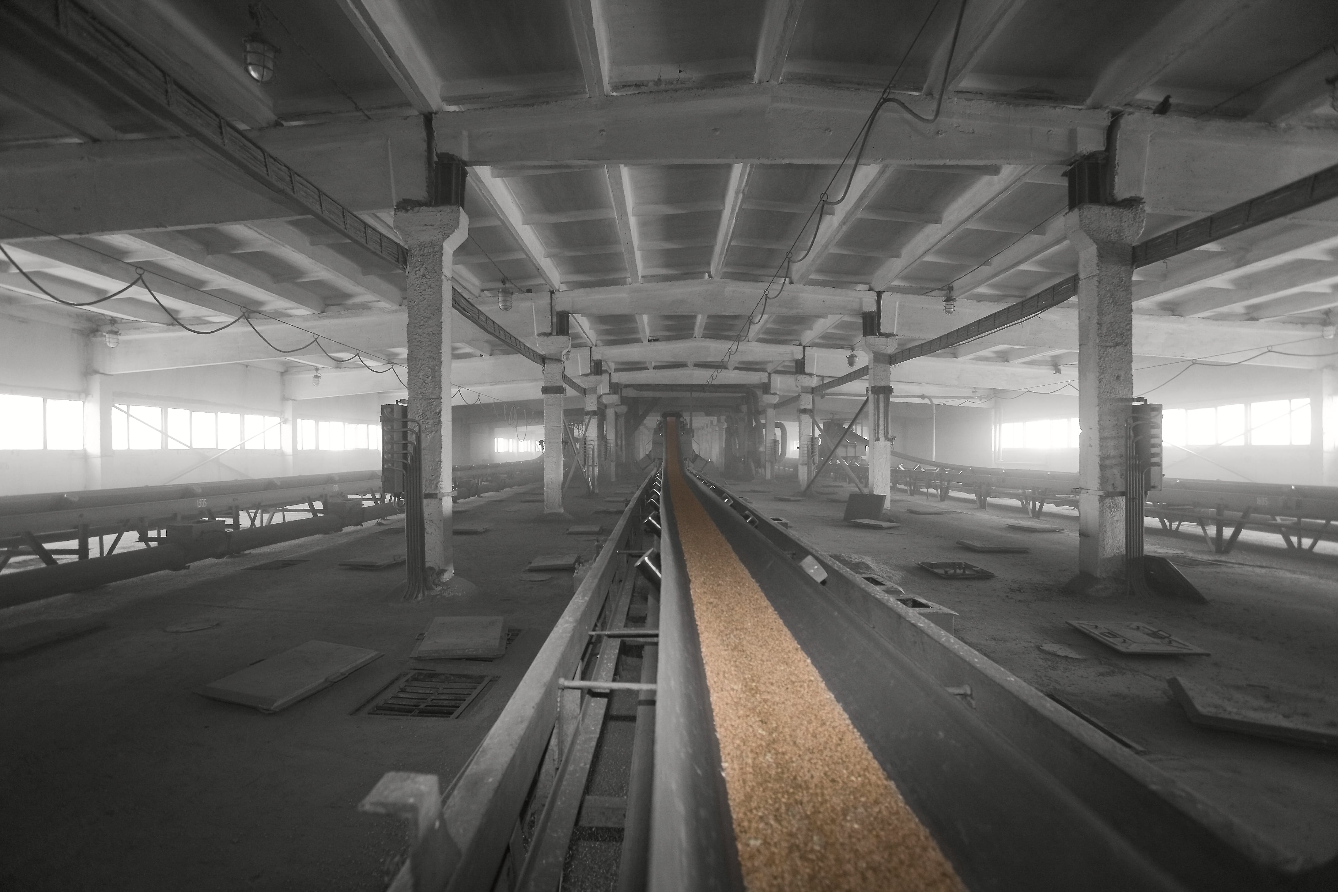 Supplier Album Image