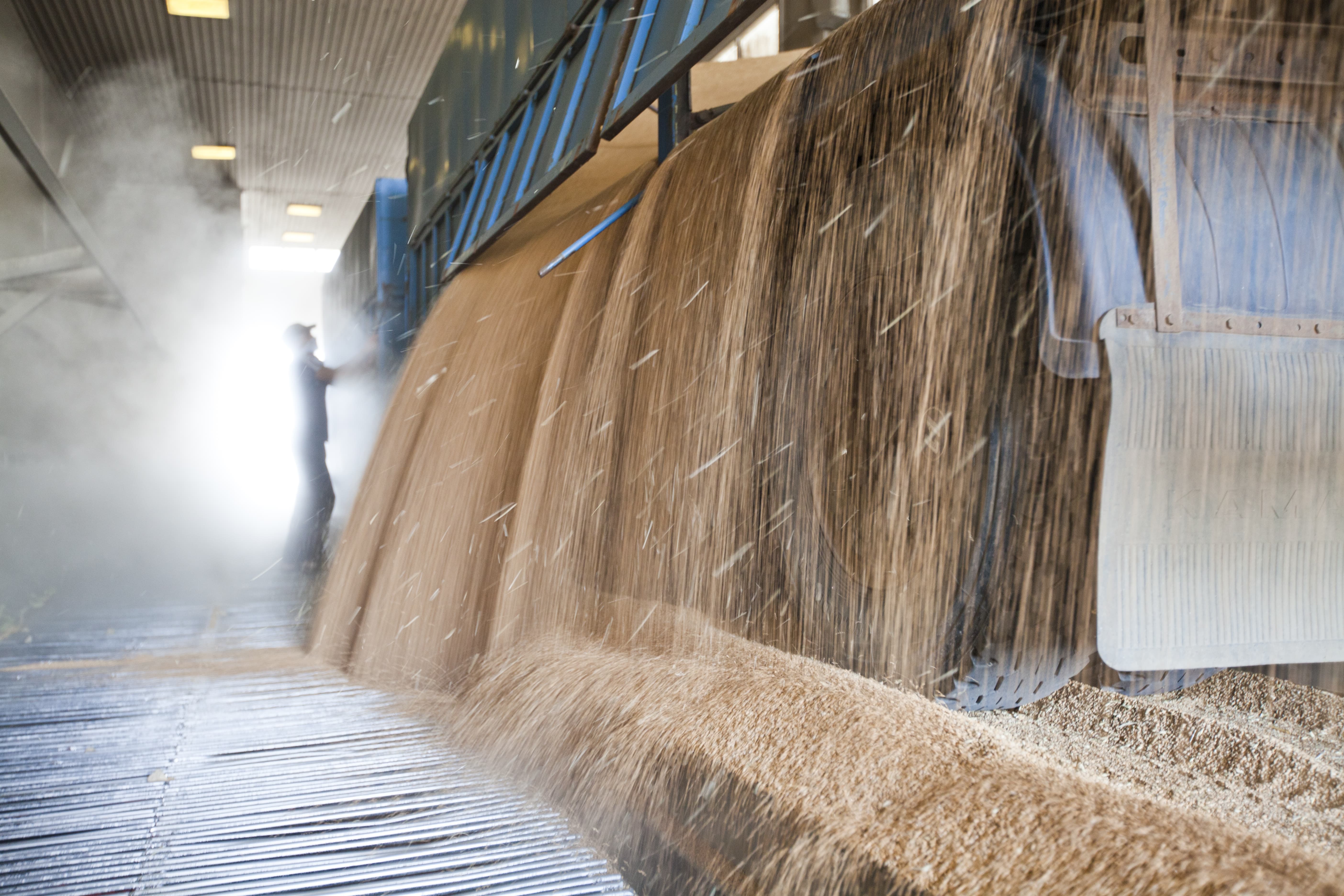 Supplier Album Image