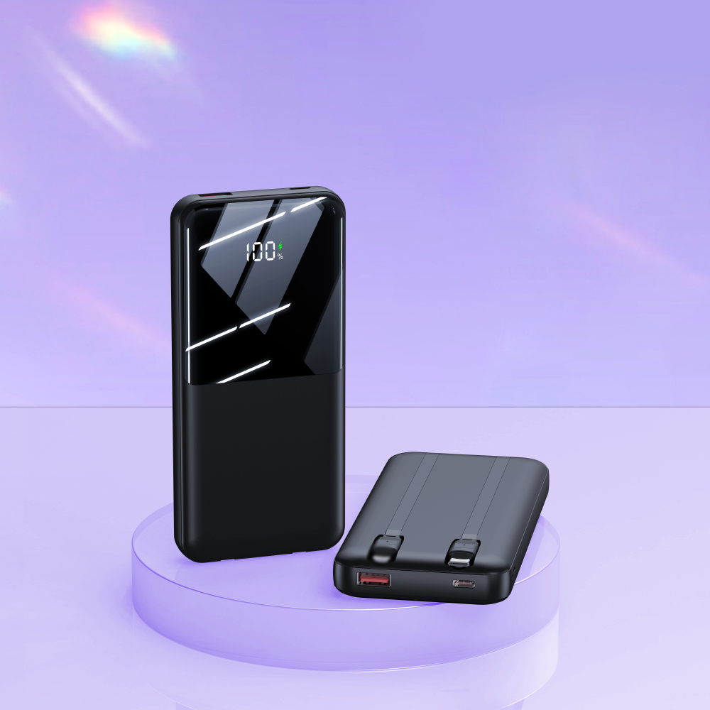 Fast Charging Power Bank