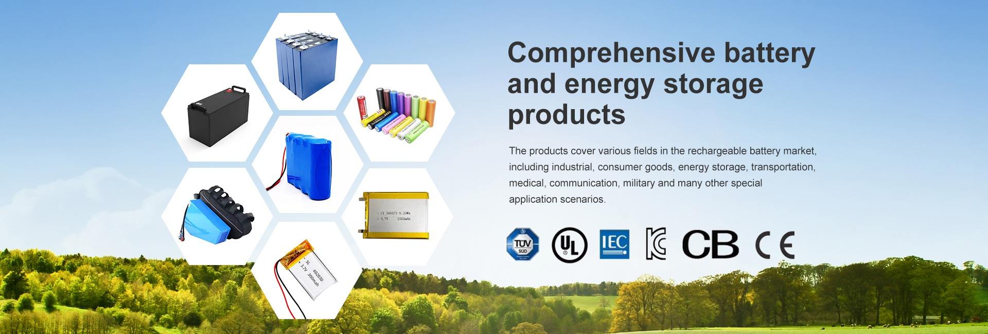 Shenzhen Boye Energy Co., Ltd.