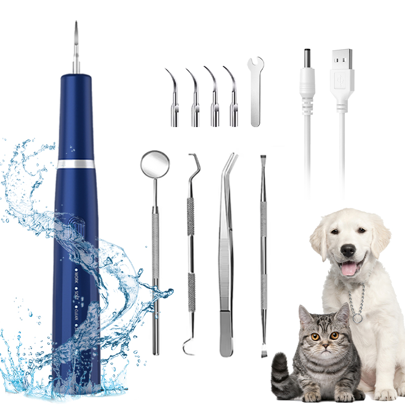 Ultrasonic Tooth Stain and Tartar Cleaner
