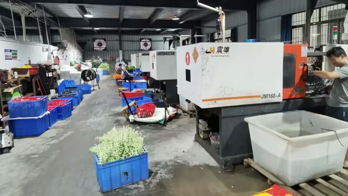 Supplier Album Image