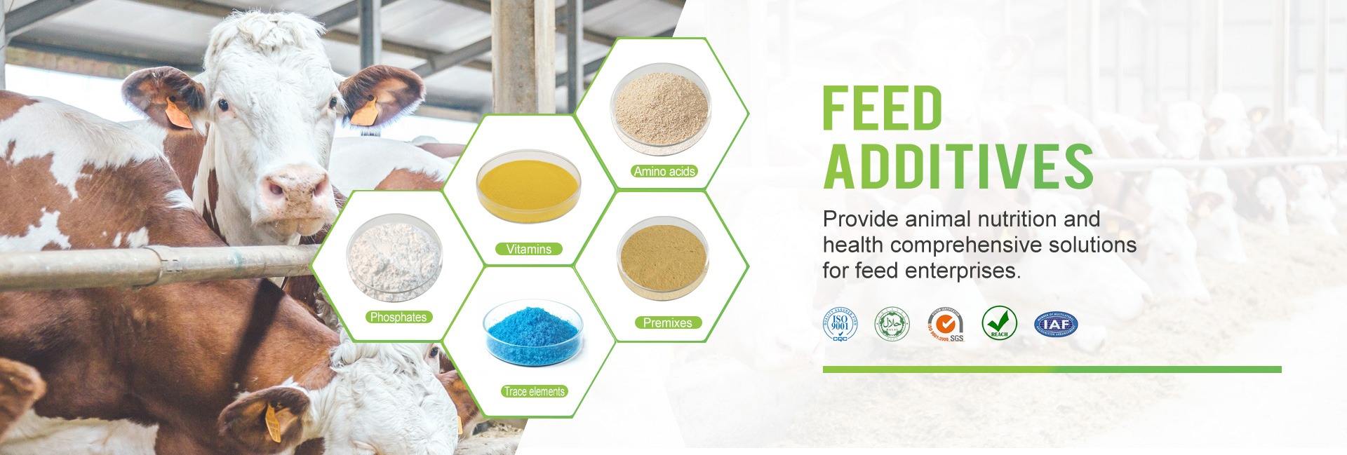 Nanjing Jiayi Sunway Chemical Co., Ltd.