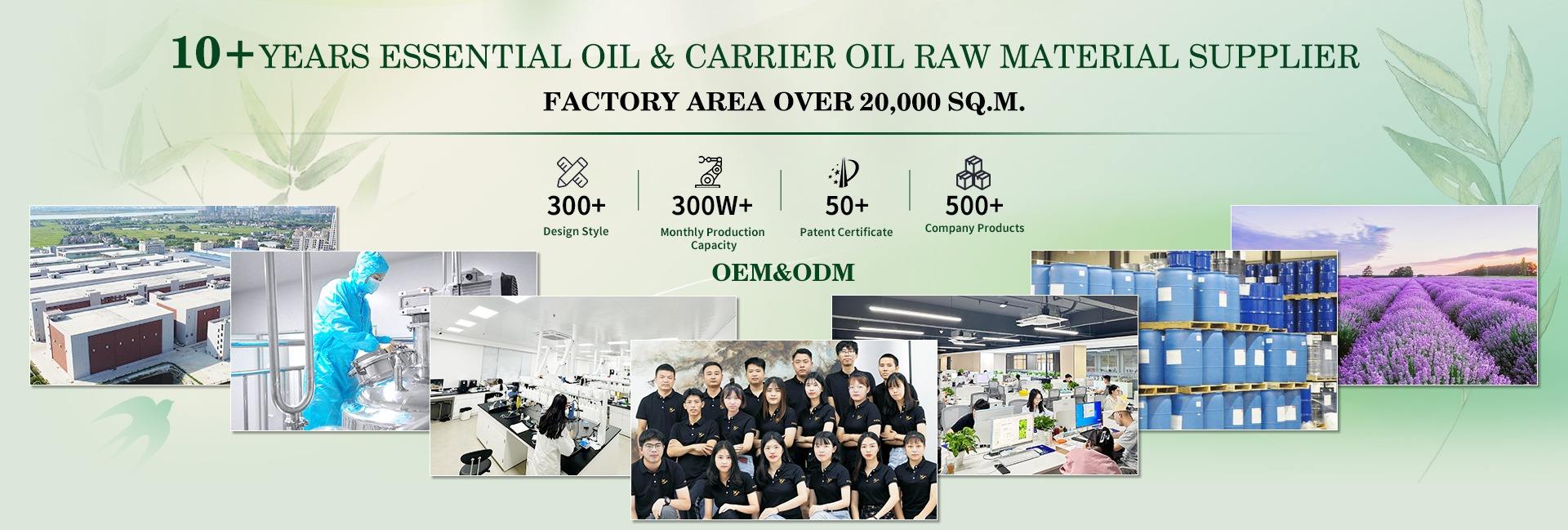 Guangzhou Dongxuantang Biotechnology Co., Ltd.