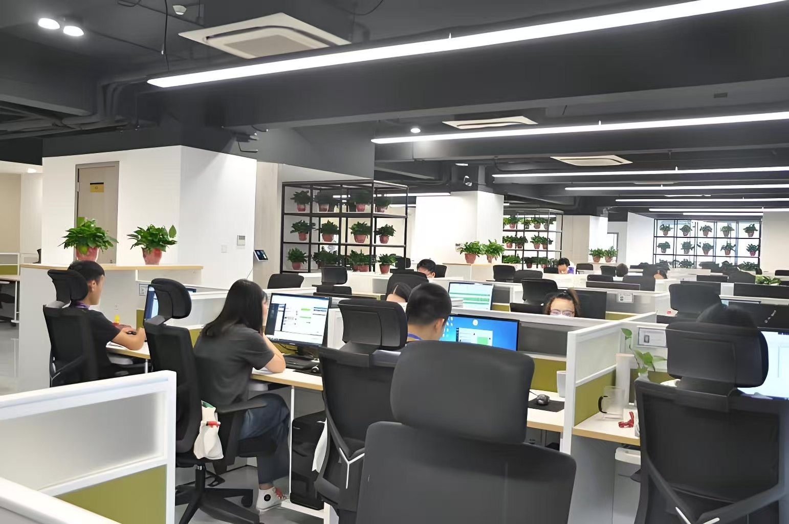 Supplier Album Image