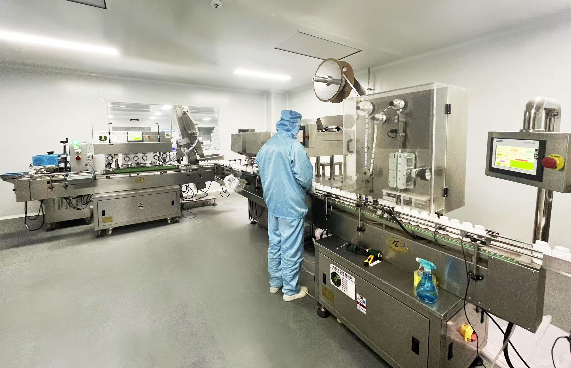 Brain and Cognitive Function Series