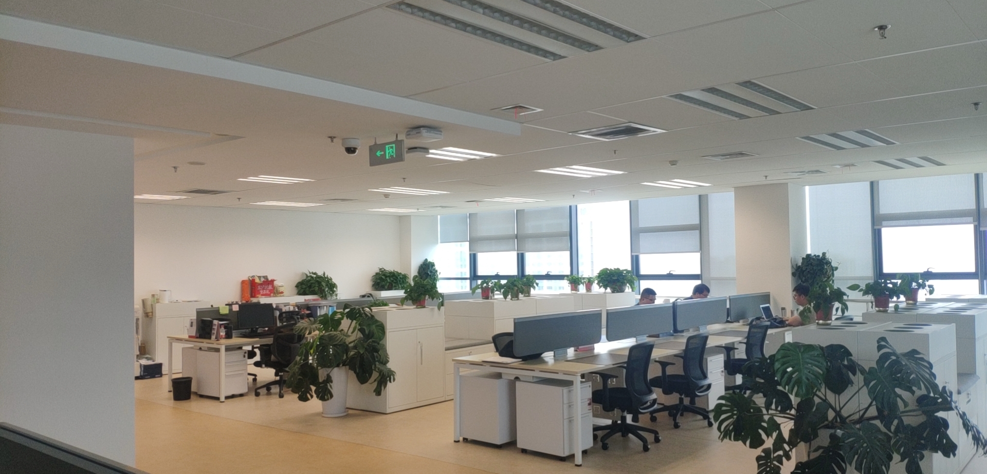 Supplier Album Image