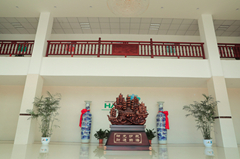 Supplier Album Image