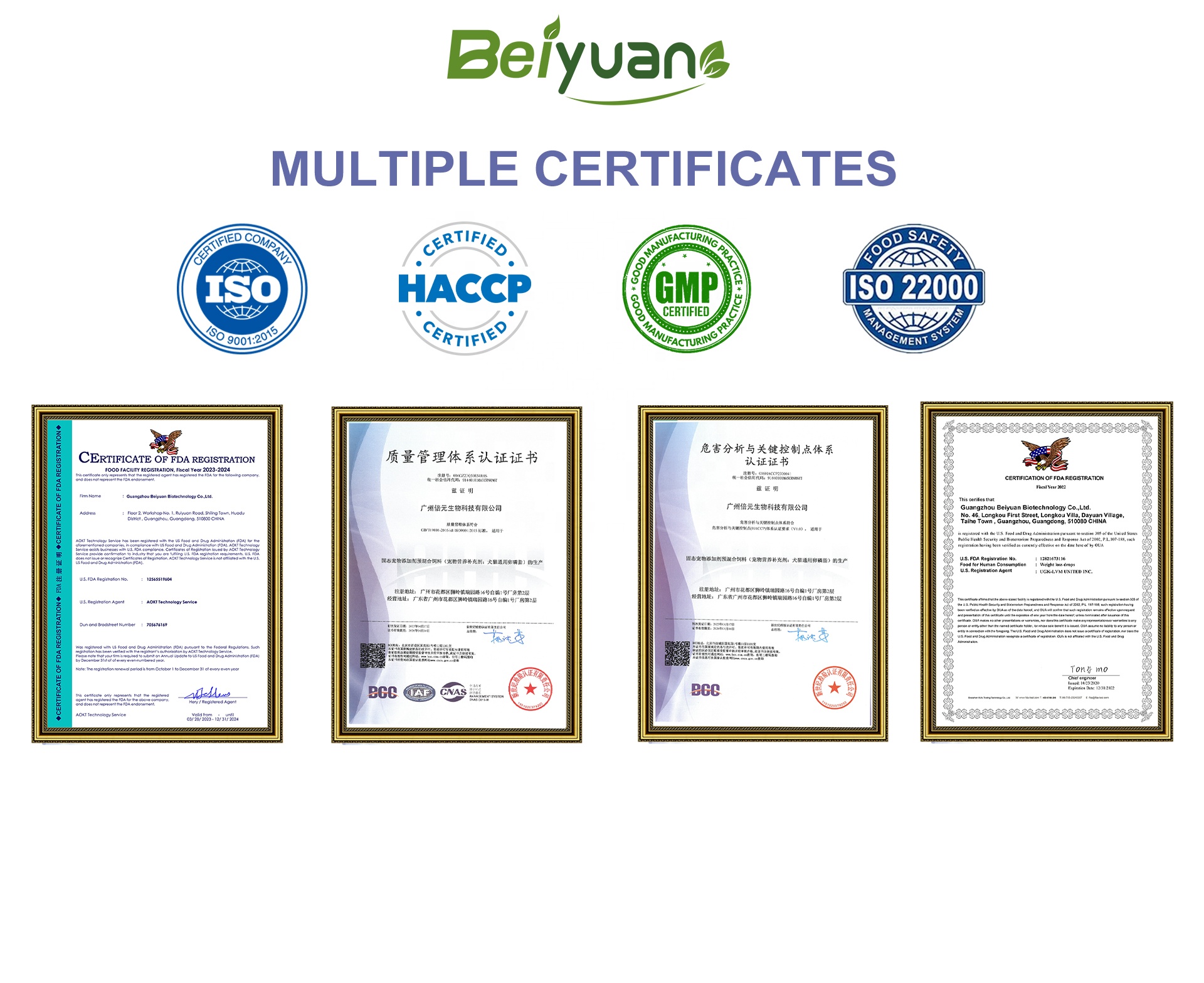 Pet soft chews supplement