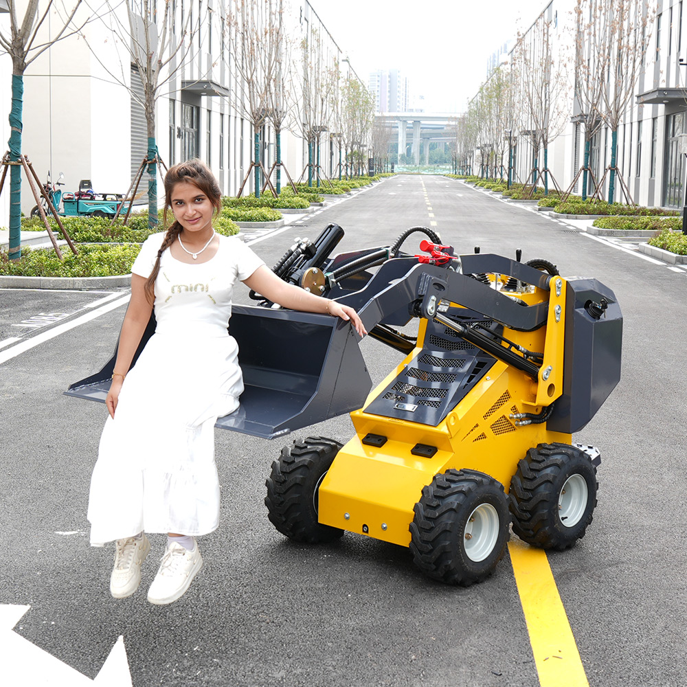 Skid Steer Loader