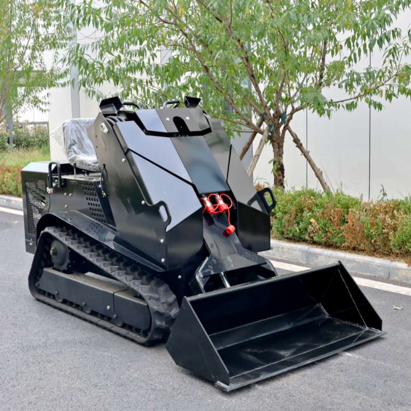 Skid-Steer Loader