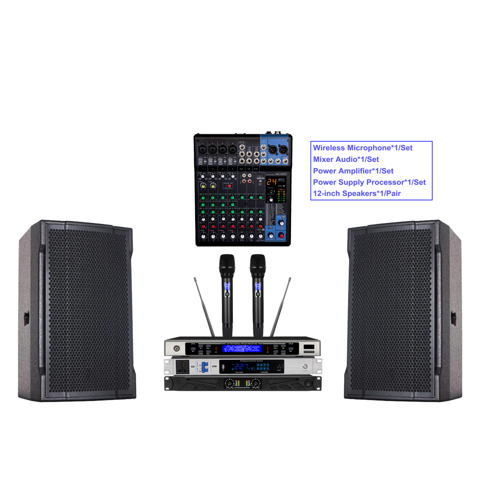 Professional Audio System