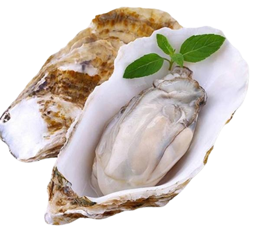 Animal and plant peptide powder