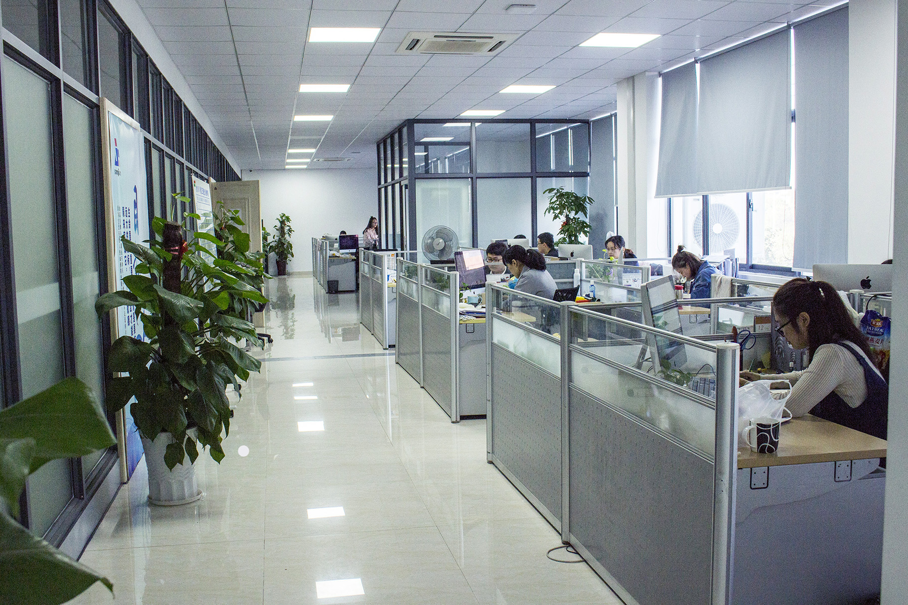 Supplier Album Image