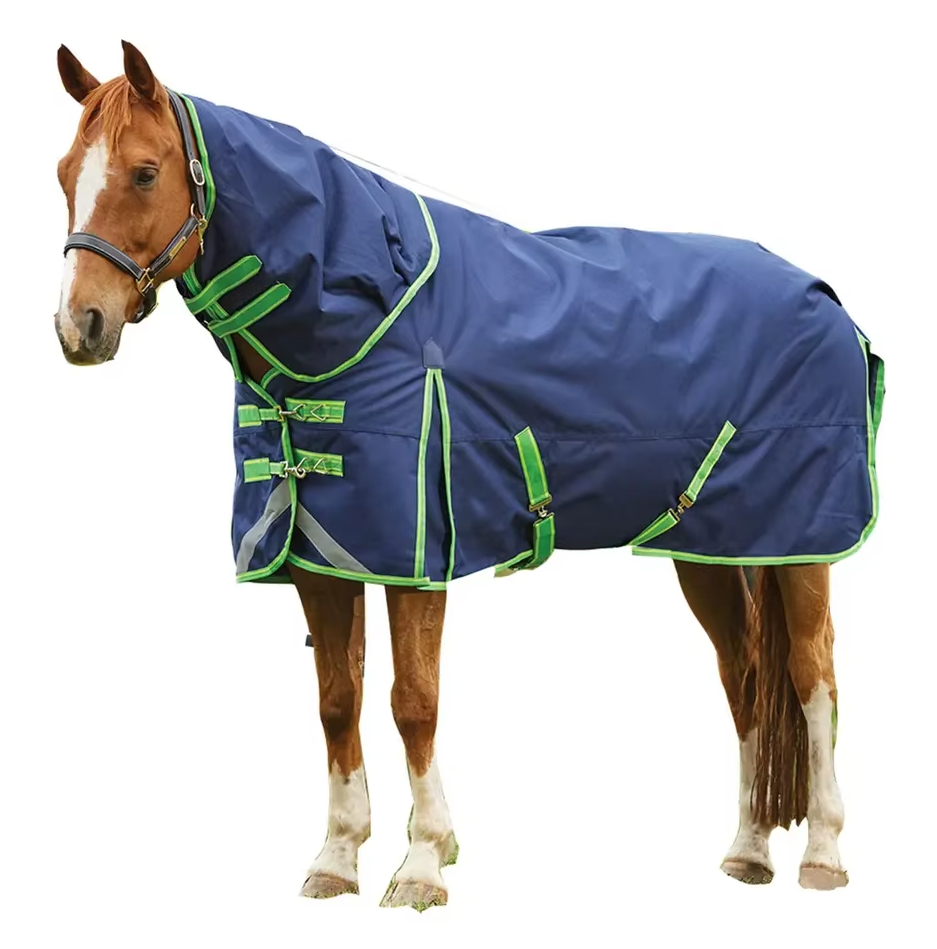 Horse Clothing
