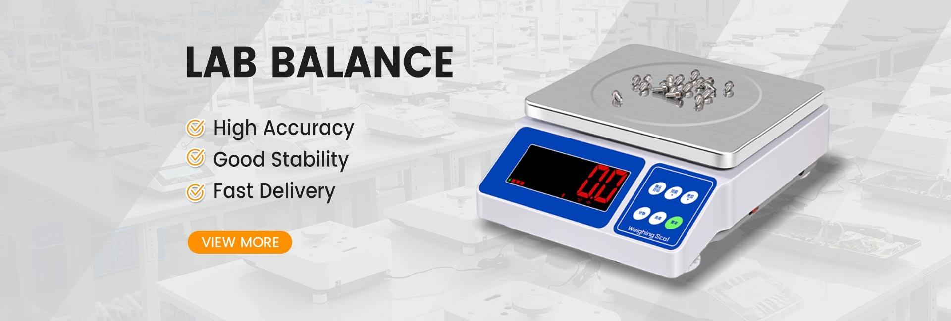 Changzhou Veidt Weighing Co.,Ltd