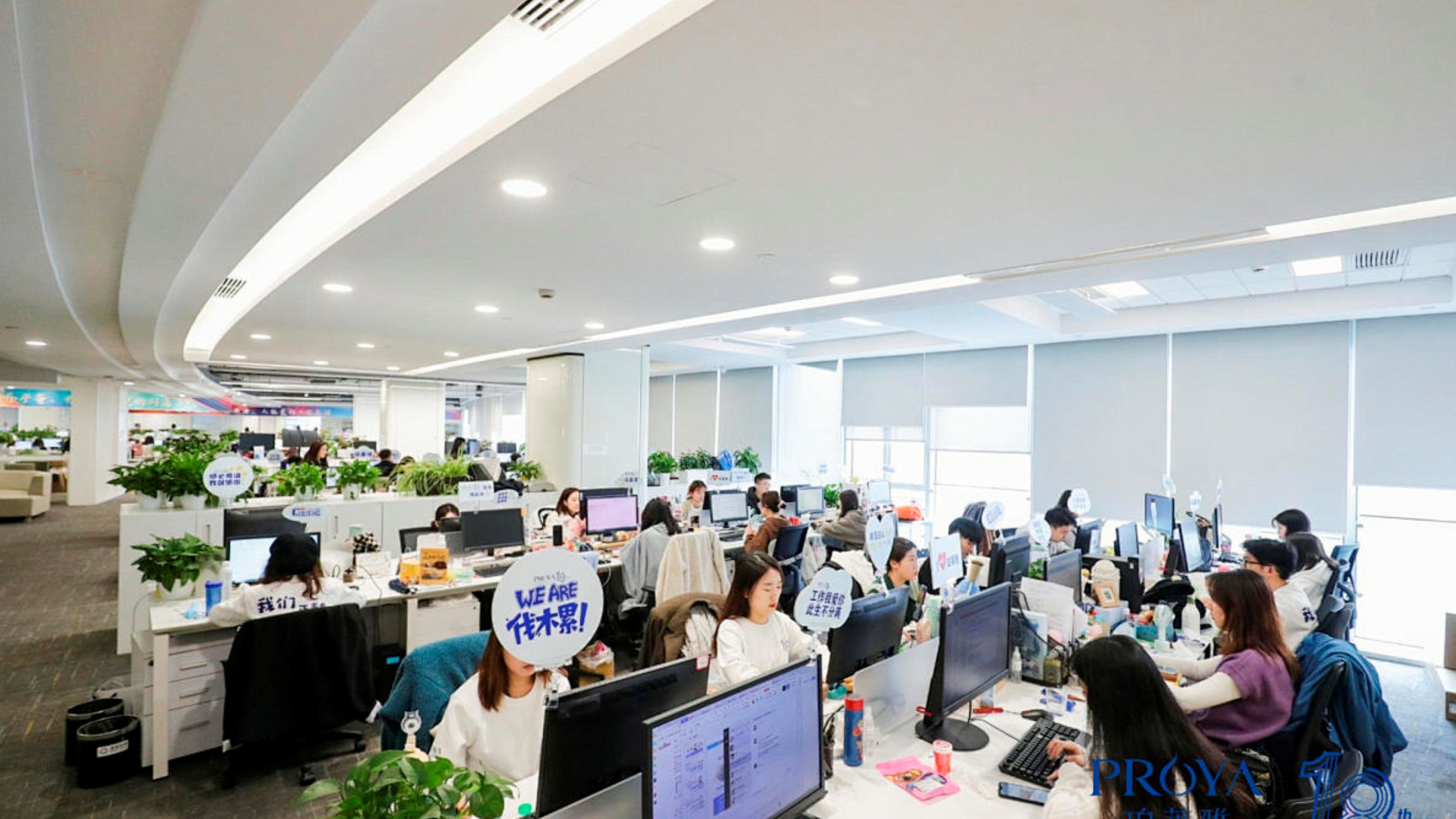 Supplier Album Image