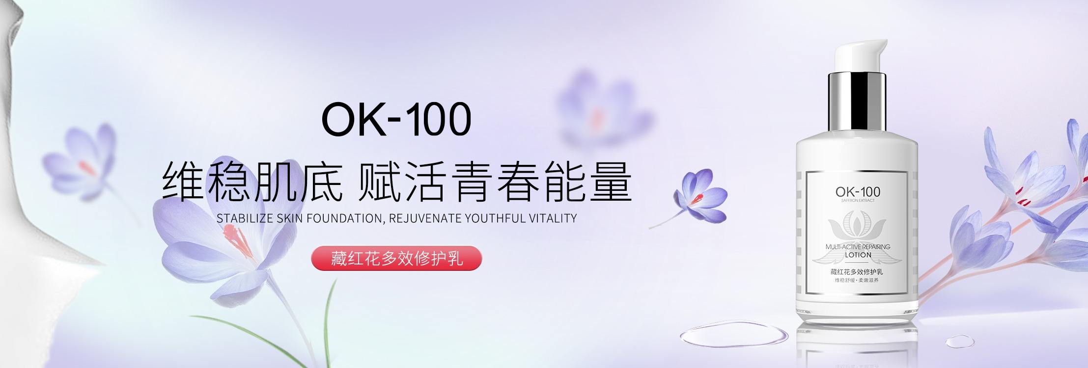 PANG'S (HONG KONG) INTERNATIONAL COSMETICS HOLDING LIMITED