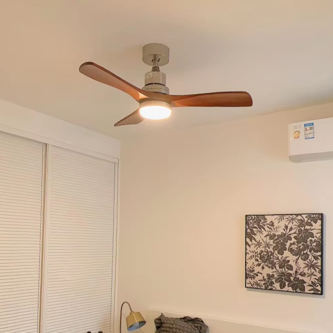 Modern ABS/Solid Wood Fan Light
