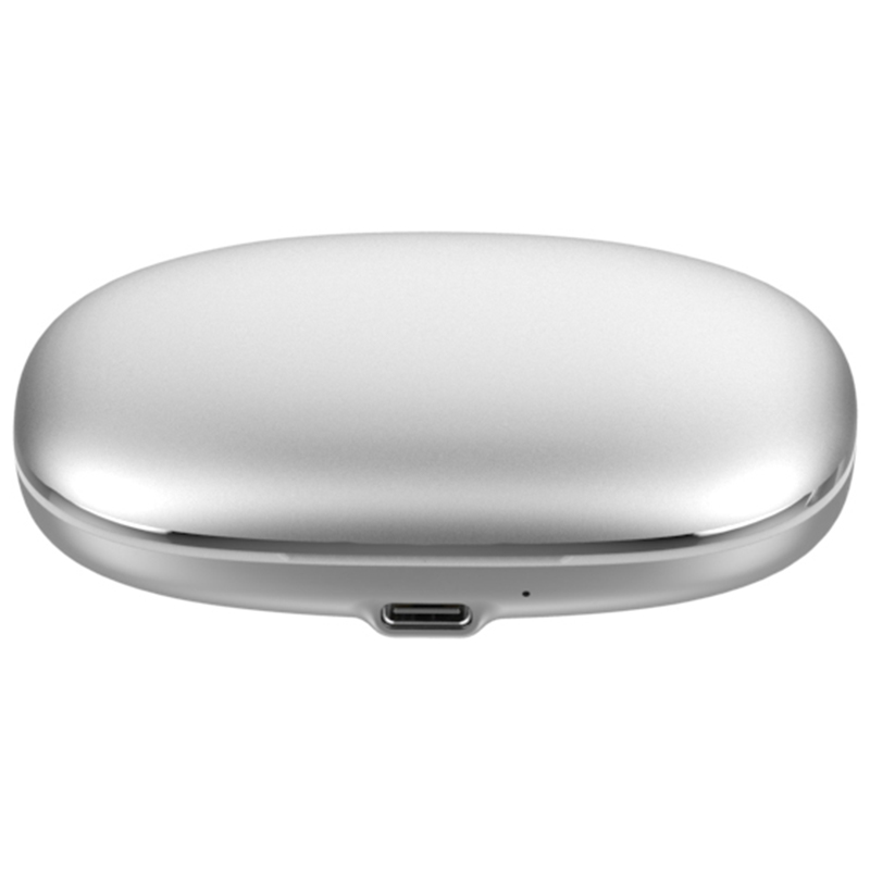 Earbuds (in-ear earphones)