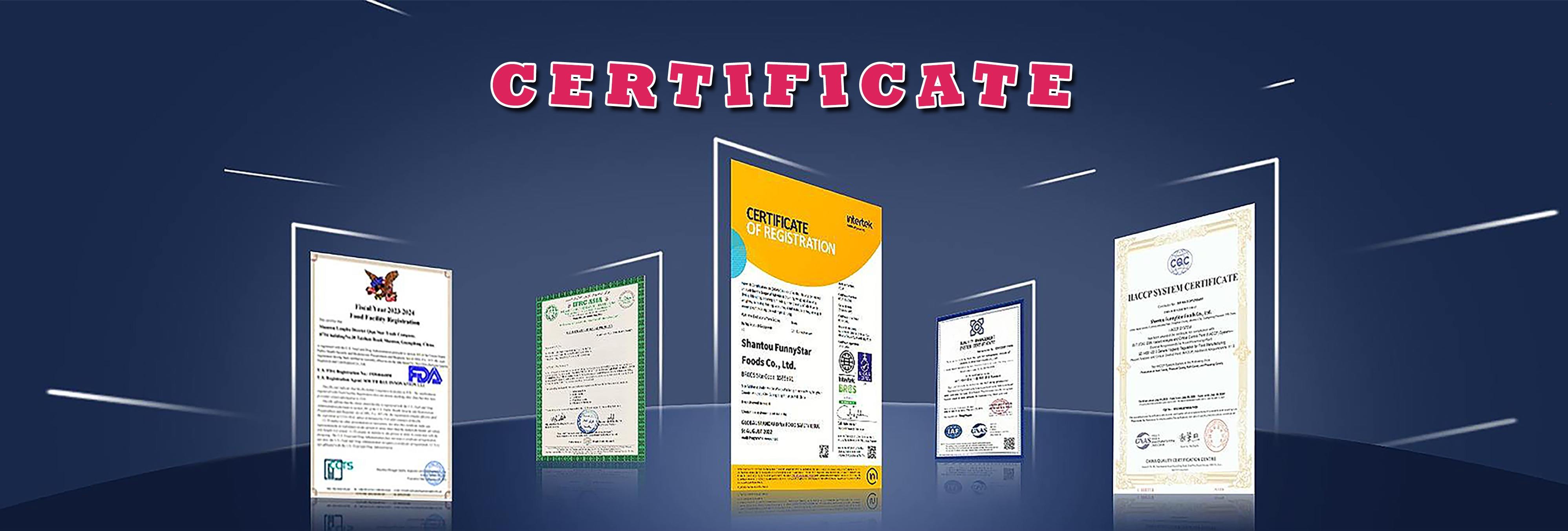 Shantou Qiqustar Co., Ltd.