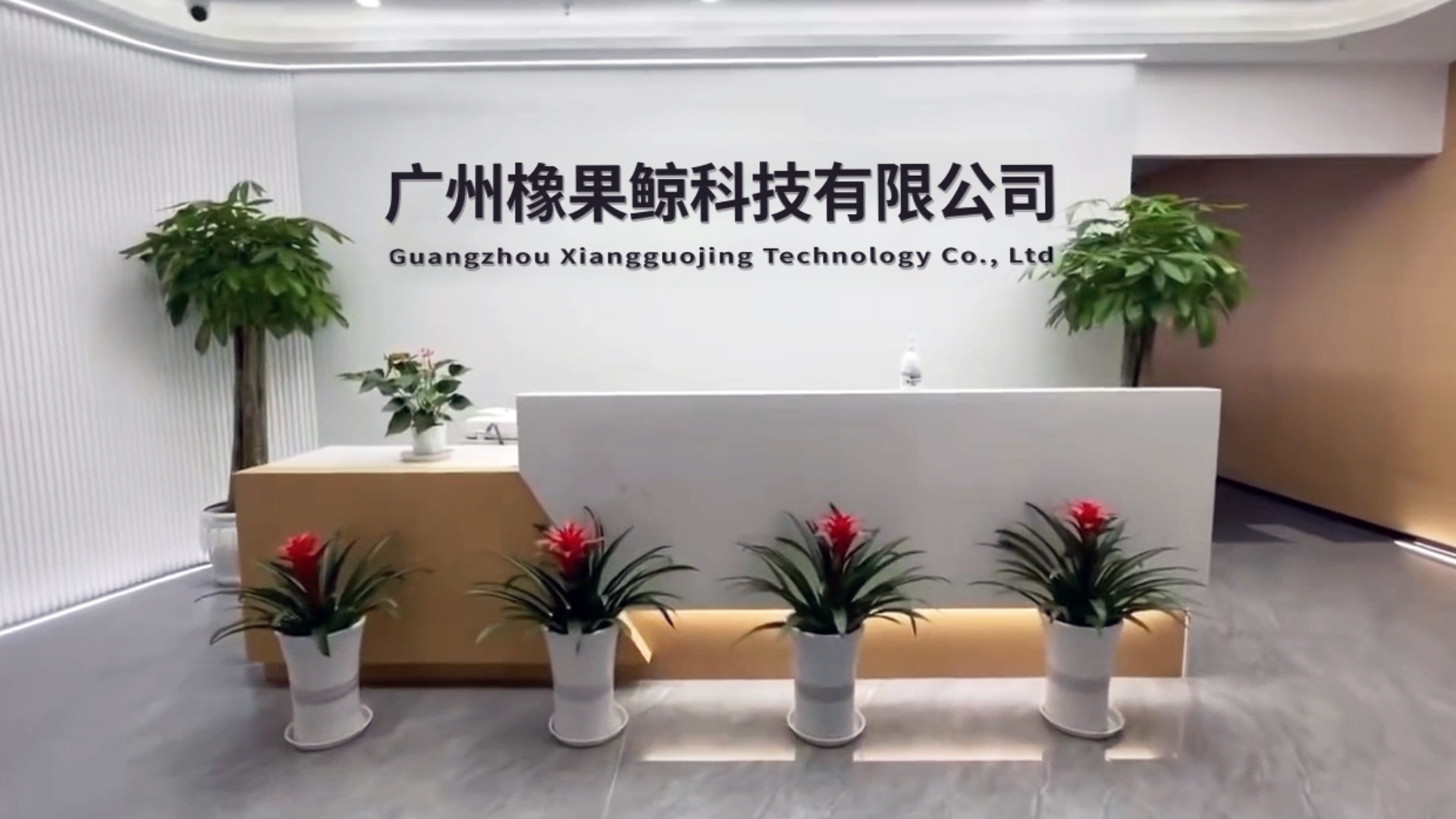 Supplier Album Image