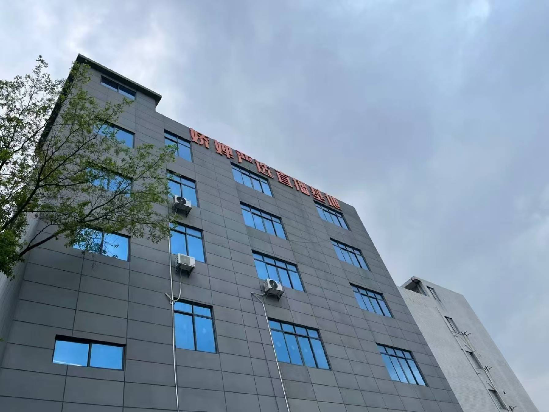 Supplier Album Image