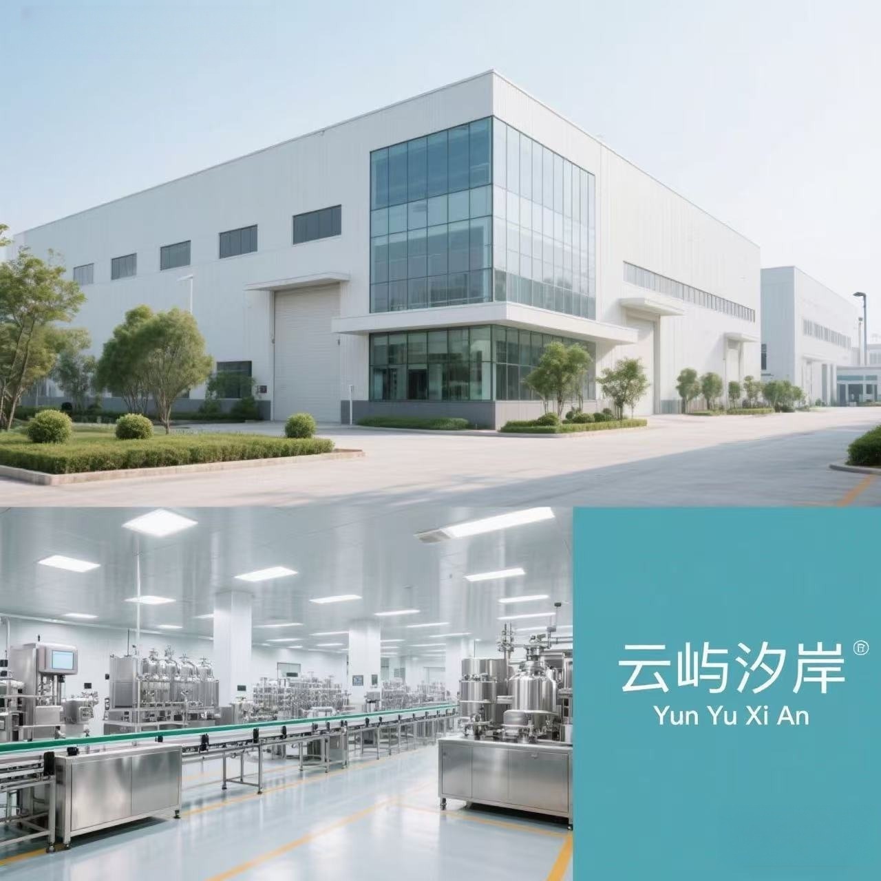 Supplier Album Image