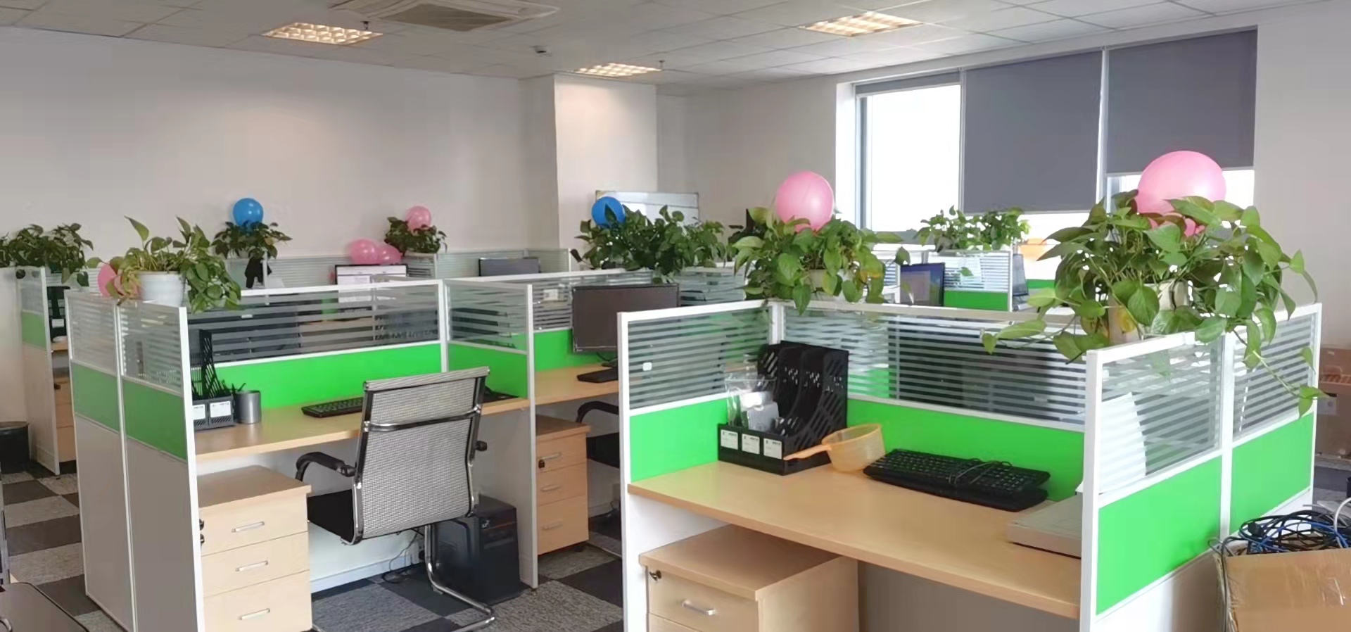 Supplier Album Image