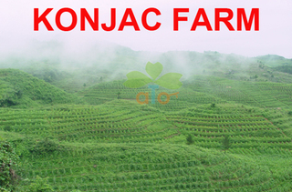 Supplier Album Image