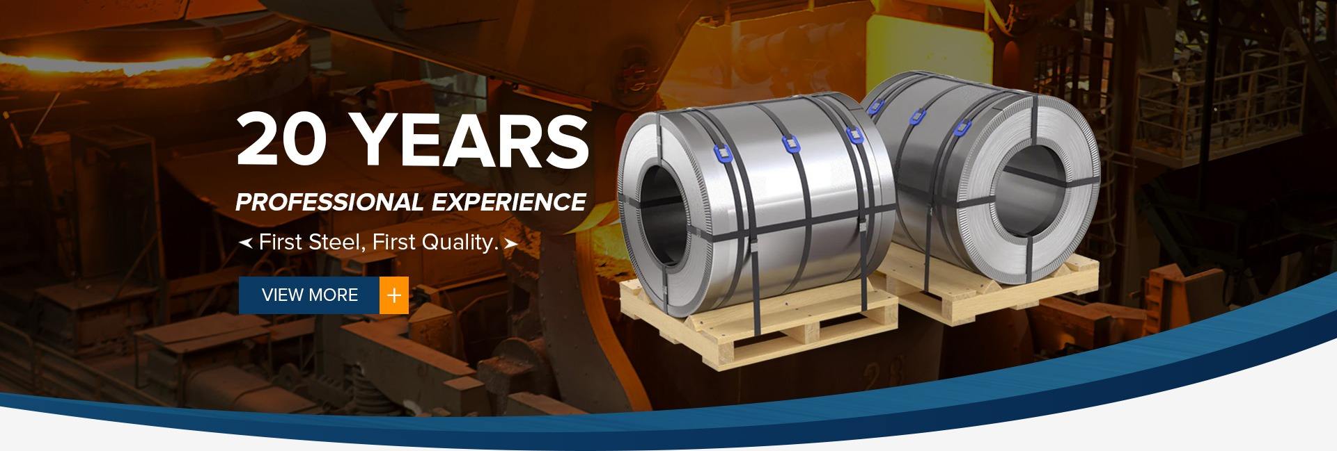 Shandong First Steel Co., Ltd.