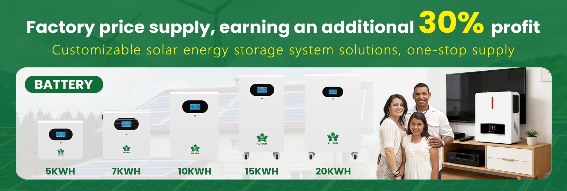 Lusen (shandong) Electromechanical Technology Co., Ltd.