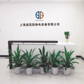 Supplier Album Image