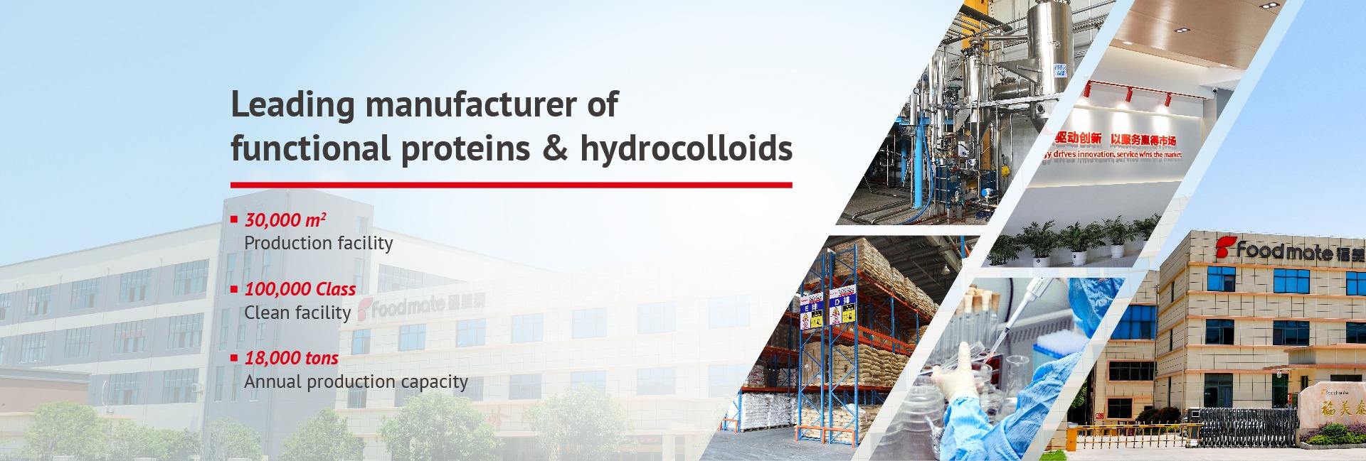 Foodchem International Corporation